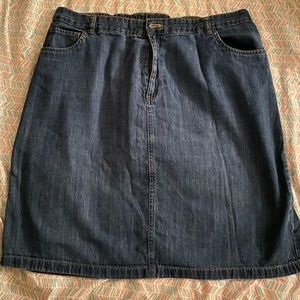 Plus Size Jean Skirt